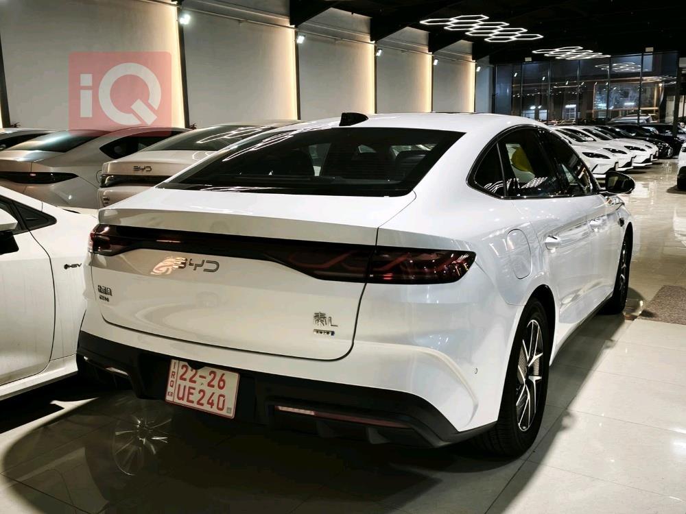 بي واي دي كوين L DM-i